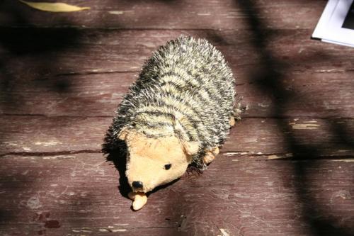 Canterbury-Faire-2013-016